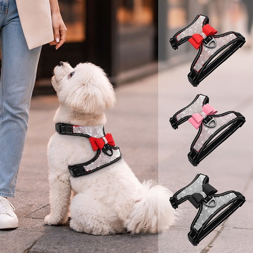 Bling rhinestone dog - bling,