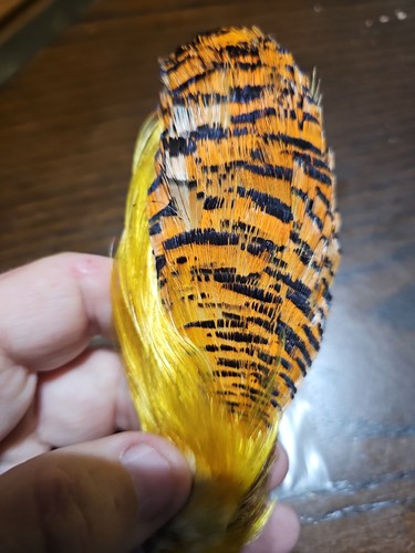 Mfc golden pheasant tippets - golden,