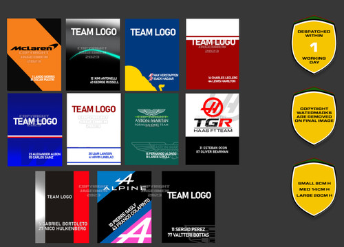 2026 team stickers - f1, lando