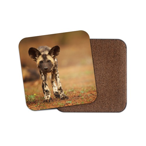 African painted dog - painted, coaster