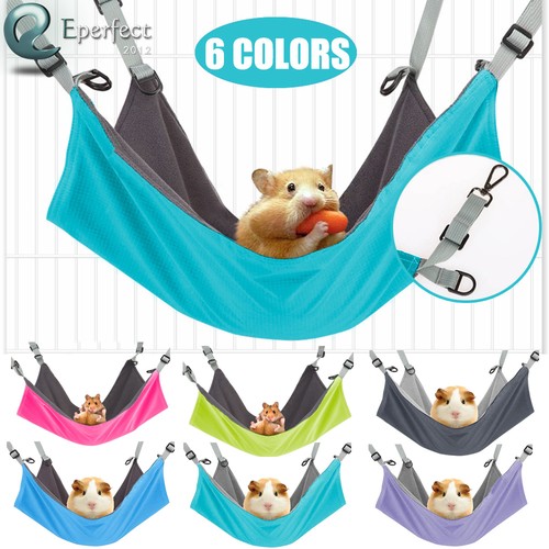 Small animals hanging - hanging, hammock