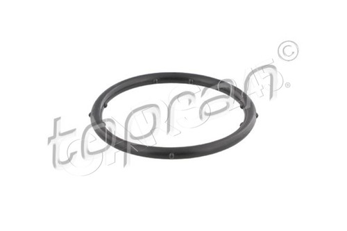 Coolant flange gasket fits - coolant, vw