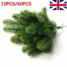 10-60X Pine Needles Plant
