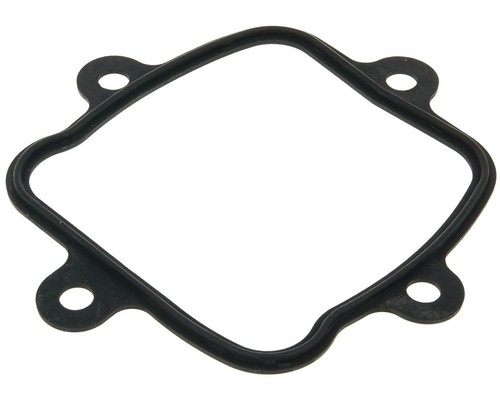 Cylinder head gasket for - head,