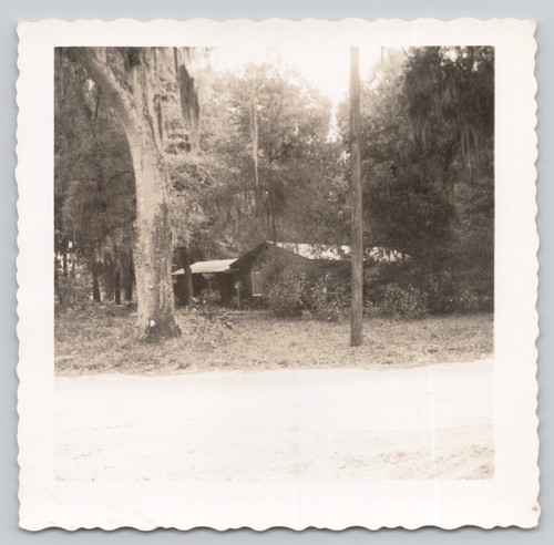Vintage photo log - log, cabin