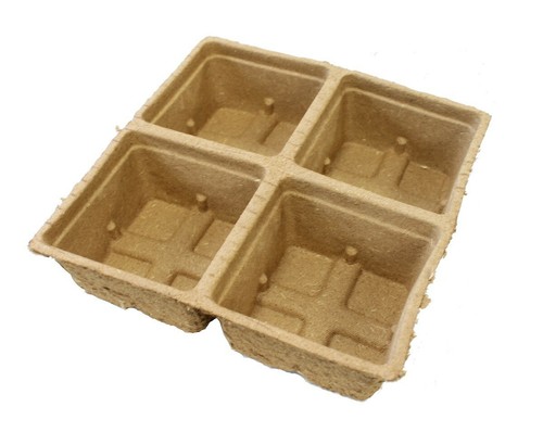 Seed trays plant pot - plant,