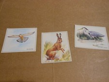 Sugar Puffs Nature Trek cards