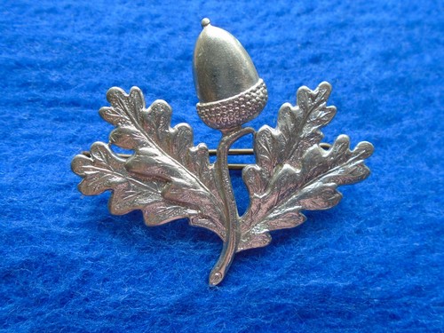 South nottinghamshire hussars - nottinghamshire,