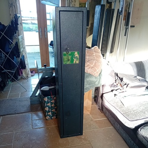 Gun cabinet - gun, (4)