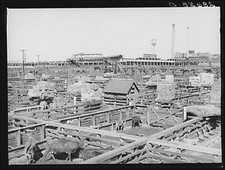 Denver Colorado Stockyards