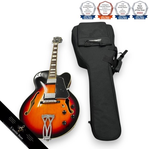 Ibanez af75 electric guitar - af75, bs