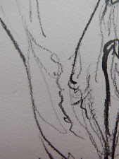 Original Hand Drawn Graphite