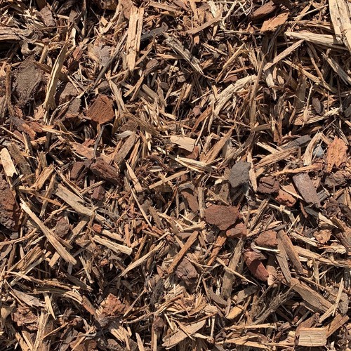 Premium bark mulch terrarium - bark,