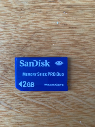 2gb sandisk magicgate memory - sandisk,
