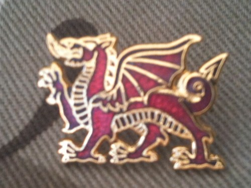 Welsh dragon lapel - lapel, pin