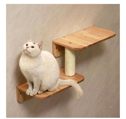 Petomg cat wall steps - steps,,