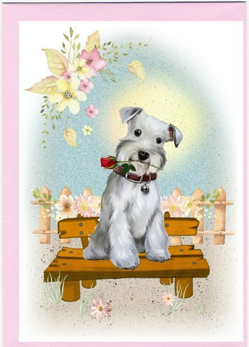 Miniature schnauzer dog x - schnauzer, (4"x