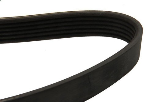 Ribbed bel dayco - 6pk975, for