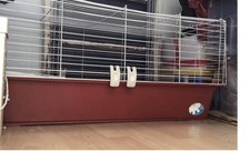Indoor Bunny Hutch