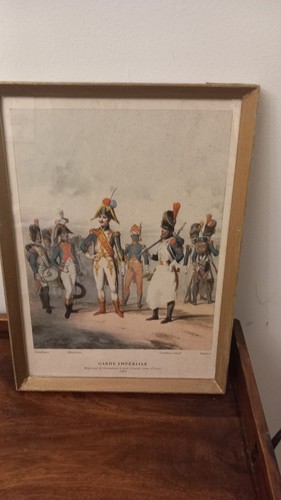 Napoleonic garde imperiale - napoleonic,