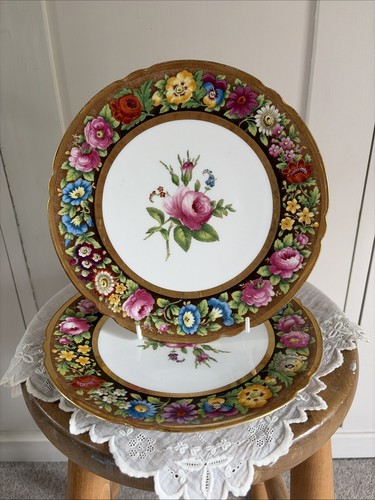 Antique spode floral - floral, printed