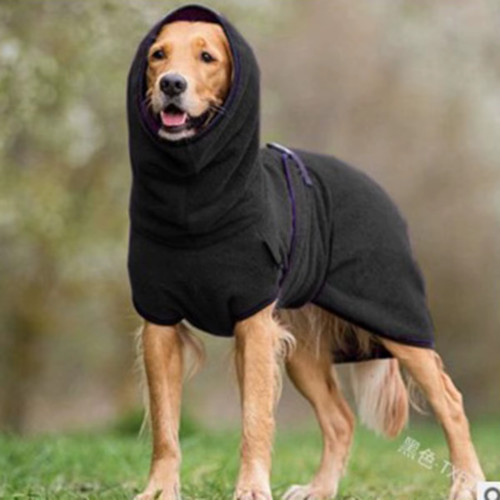 Generic dog winter - winter, coat