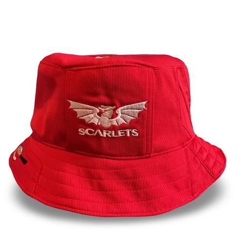 Llanelli scarlets rugby union - llanelli,