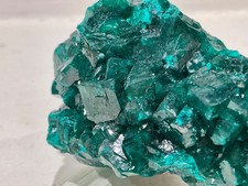 Dioptase Crystal Cluster