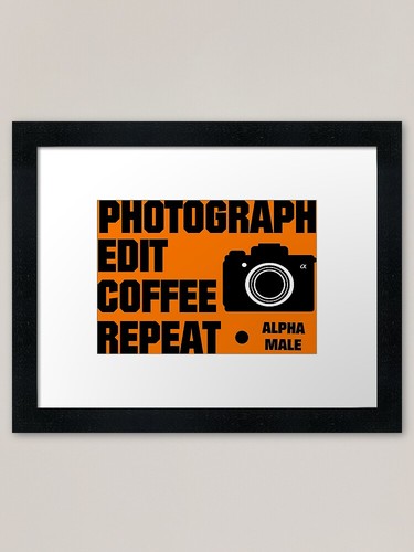 Sony alpha photographer - alpha,