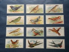 R J Lea  Ltd ( English Birds ) MATT ( Complete Your Set ) Very Good  1922