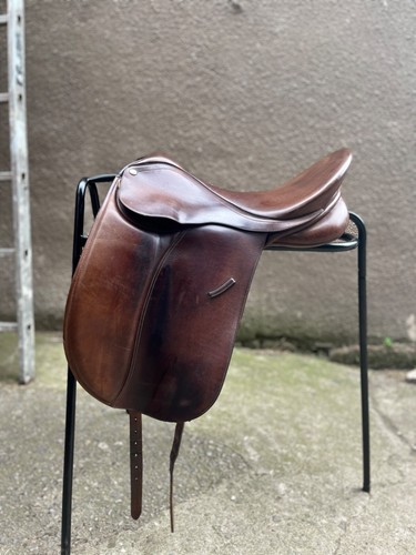 Brown collegiate dressage -  brown,