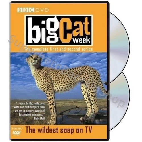 Big cat week - big, 1-2