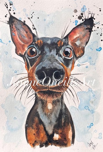Miniature pinscher watercolour - pinscher,
