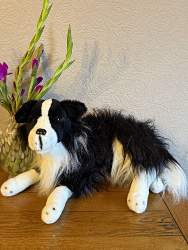 Vintage large border - border, collie