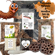 Ultimate Millipede & Woodlice