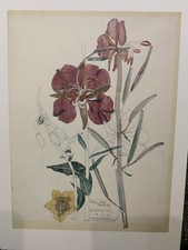 A lovely Charles Rennie