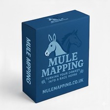 Mobile ECU remapping Stage 1-3