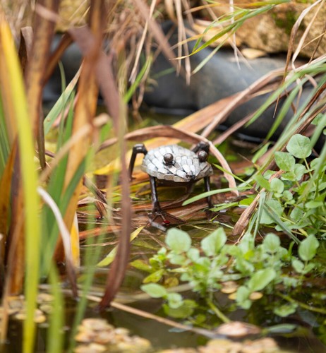 Metal frogs garden ornament - metal,