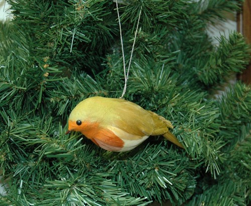 English robin christmas - english,