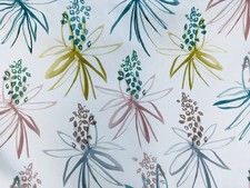 SCION TILLANDSIA   Cotton