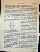 Antique Old Print Garden 1878