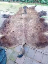 Bison Buffalo Hide,,,,UK Sale Only