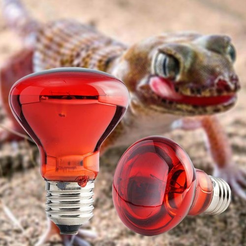 Infrared heat lamp bulb - heat,