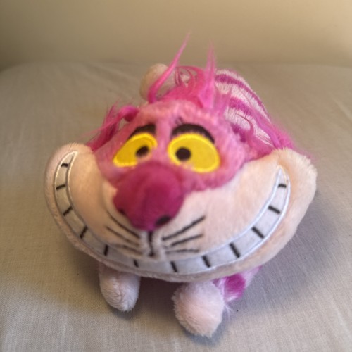 Cheshire cat alice - cheshire, in