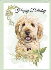 Golden doodle labradoodle - doodle,