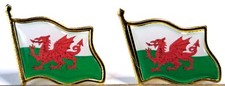 @@@ 2 x WALES PIN BADGES,, @@@
