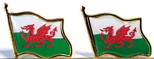 Wales pin badges - @@@,