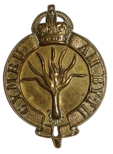 British military cap - military, badges