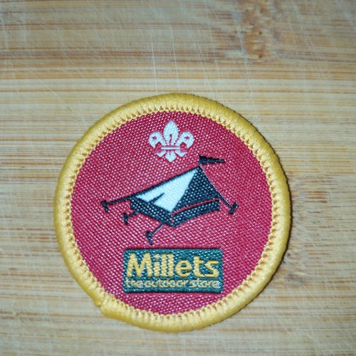 Scouting cub activity - cub, badge
