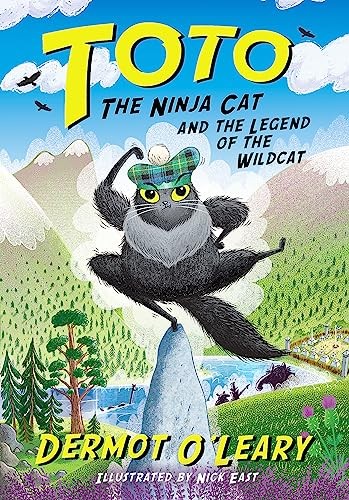 Toto the ninja - toto, cat